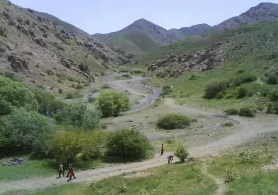 چشمه زرد کردیان (روستای کردیان)