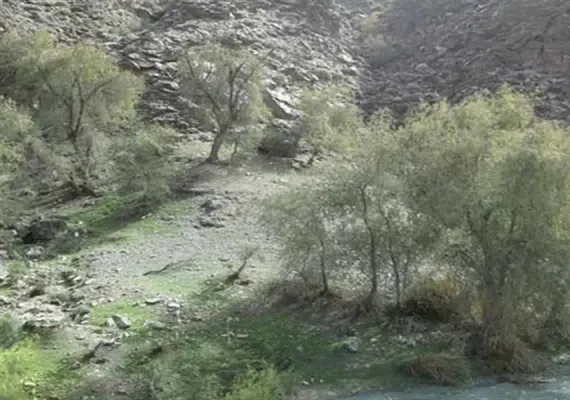 روستای دیدنی ده زرد شهرستان کهنوج