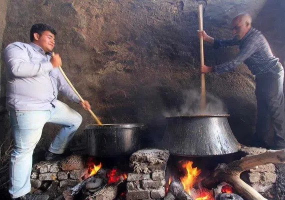 روستای نوفرست