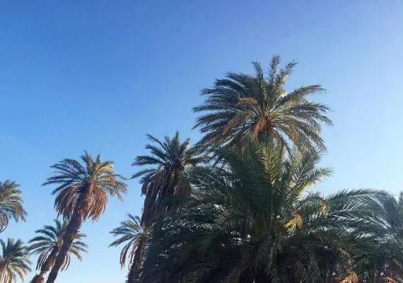روستای کویری همیشه بهار کشیت