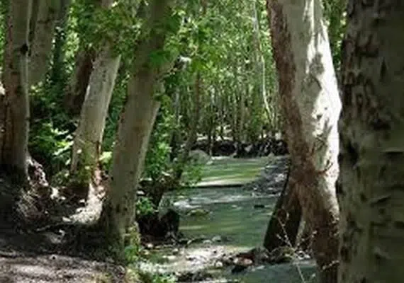 روستای گردشگری نغندر