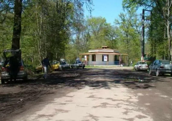 پارک جنگلی دلند