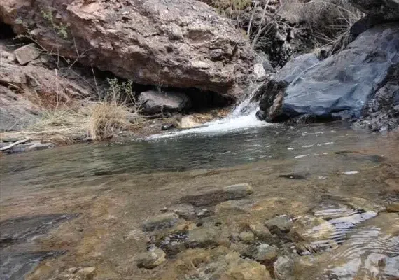 روستای زرقان (جغتای)