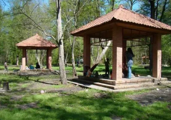 پارک جنگلی دلند