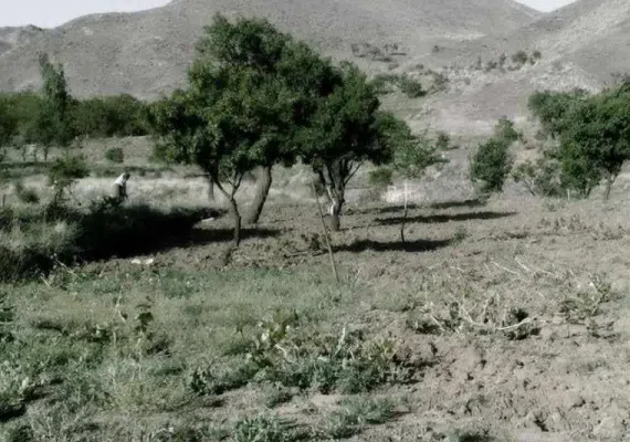 روستای طبس (سبزوار)