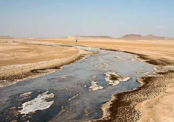 رودخانه&zwnj;های راور و قدرونی