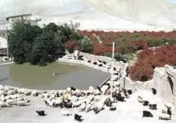 روستای پدمرود