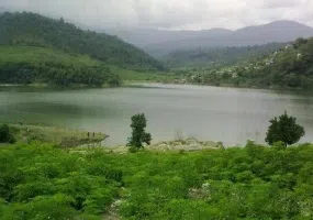 جنگل دیدنی دهستان لفور (لپور)