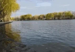 پارک ساحلی زرین شهر