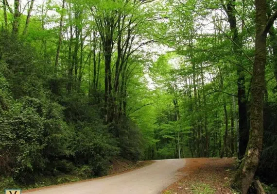 پارک جنگلی بزچفت بابل کجاست