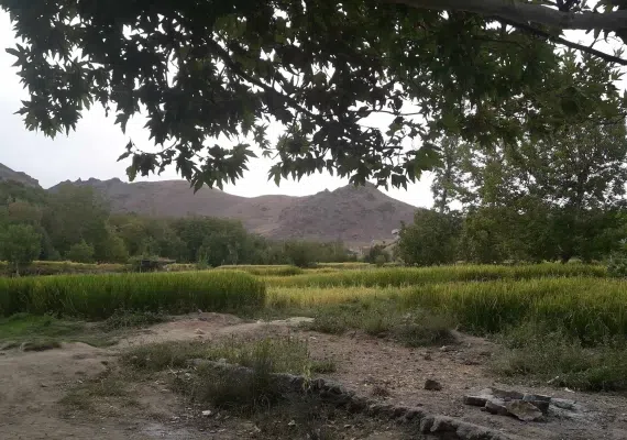 چم طاق از روستاهای باغ بهادران