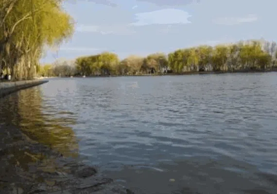 پارک ساحلی زرین شهر