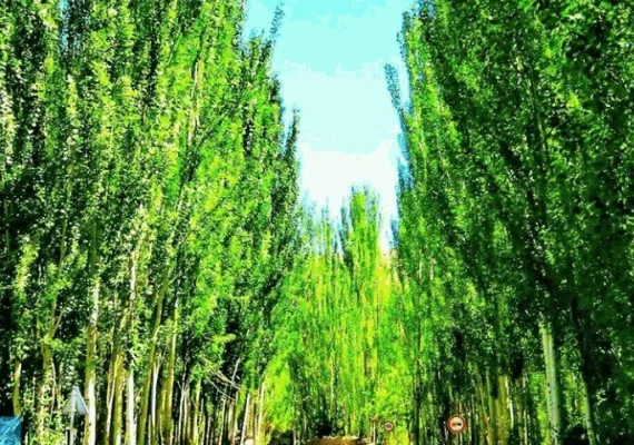 روستای خوان بهشتی گمشده در دل کویر