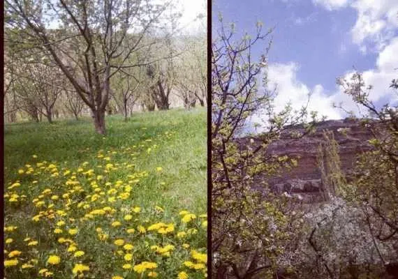 روستای زیبای آندرخ مشهد