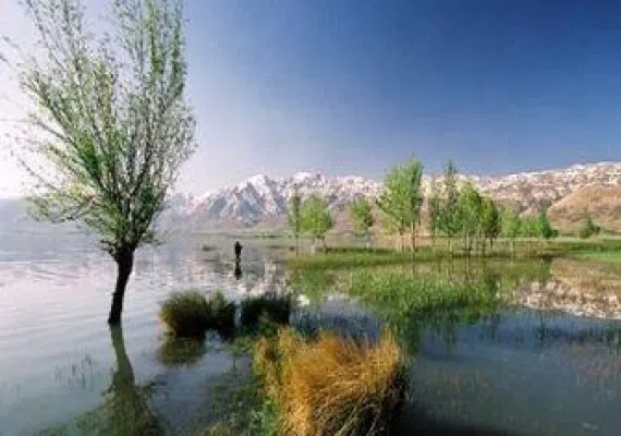 تالاب بین المللی چُغاخور، یکی از زیباترین تالاب های ایران