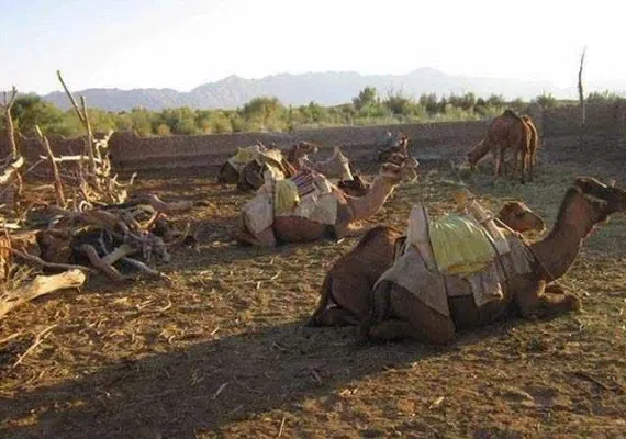 روستای توریستی مصر