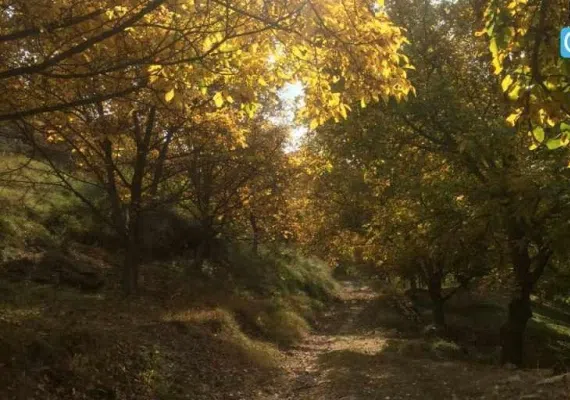منطقه ییلاقی زوارم