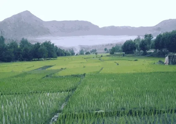 چم طاق از روستاهای باغ بهادران