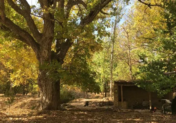 منطقه ییلاقی زوارم