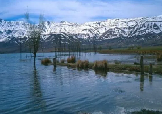 تالاب بین المللی چُغاخور، یکی از زیباترین تالاب های ایران