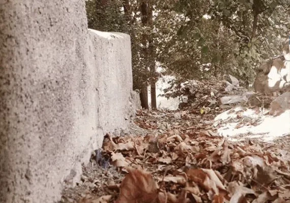 چم طاق از روستاهای باغ بهادران