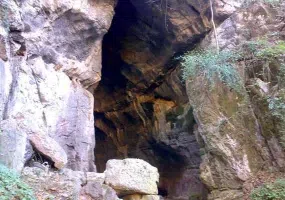 غار شیر آباد، زیستگاه سمندر غارزی گرگانی