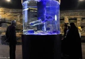 پارک جنگلی ناژوان اصفهان