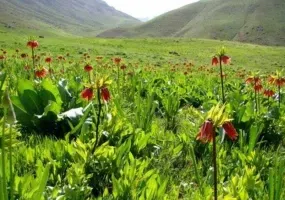 دره نی گاه لرستان، دره ای در زاگرس