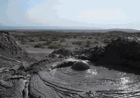 گل فشان پیرگل، گل هایی با خواص درمانی