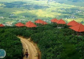 بام سبز لاهیجان