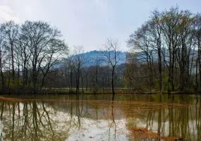 تالاب سوستان لاهیجان