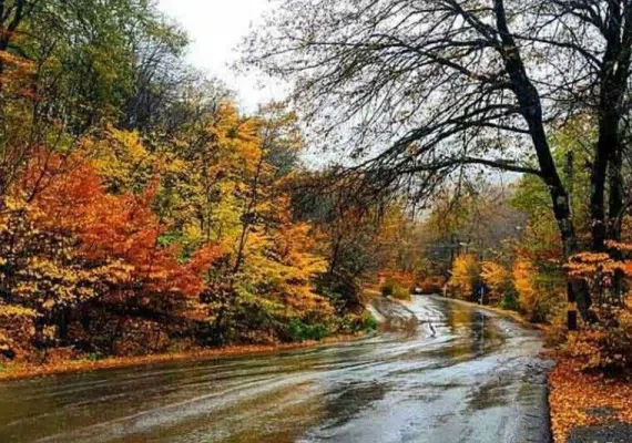 پارک جنگلی النگدره، جنگل چهار فصل گرگان