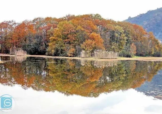 تالاب سوستان لاهیجان