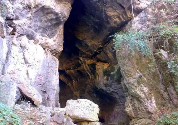 غار شیر آباد، زیستگاه سمندر غارزی گرگانی