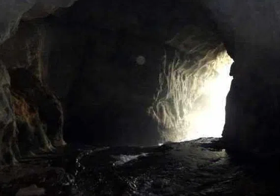 غار شیر آباد، زیستگاه سمندر غارزی گرگانی