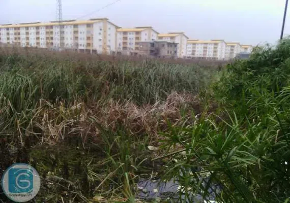 تالاب کیاکلایه لنگرود