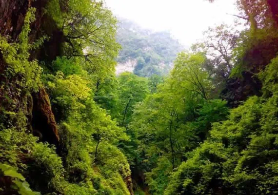 جنگل شصت کلا کجاست