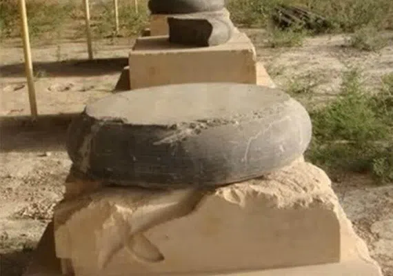 کاخ بردک سیاه، کاخ داریوش اول