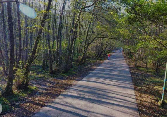 پارک جنگلی گیسوم