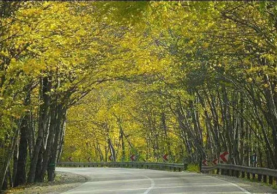 پارک ملی گلستان، بزرگترین پارک ایران، زیستگاه آهو، یوزپلنگ و خرس