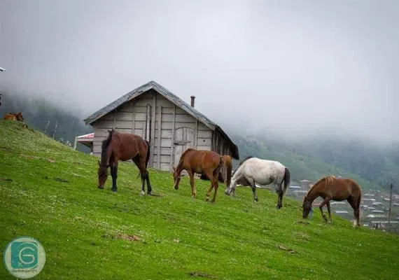 روستای اولسبلنگاه ماسال
