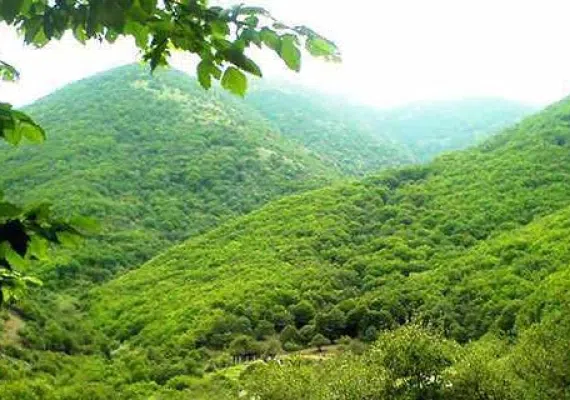 جنگل شصت کلا کجاست
