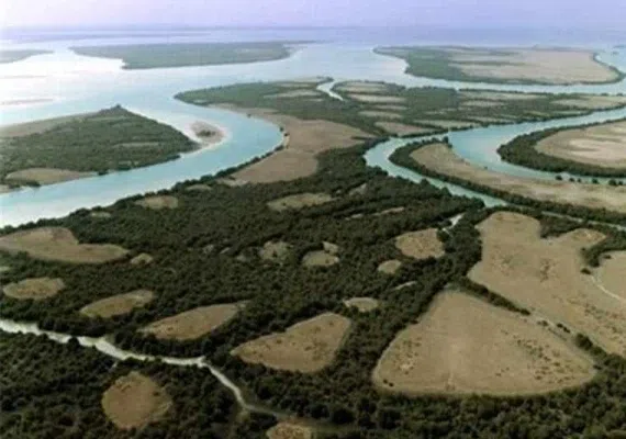 پارک ملی دریایی دیر-نخیلو، بهشت پرندگان و زیباترین پارک پرندگان در خاورمیانه