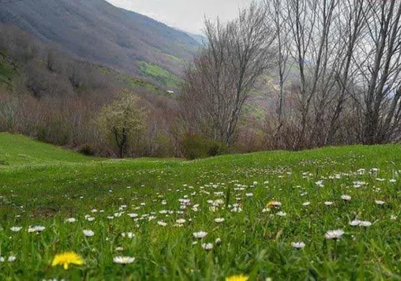 دریاچه بره سر - دریاچه ویستان