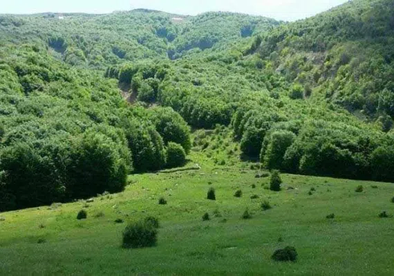 دریاچه بره سر - دریاچه ویستان