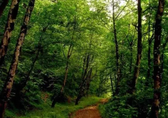 دریاچه بره سر - دریاچه ویستان