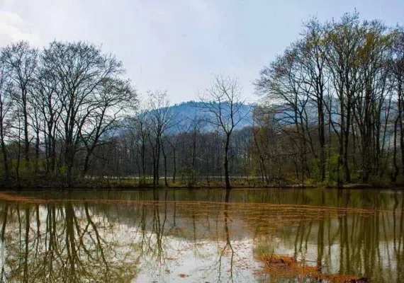 تالاب سوستان لاهیجان