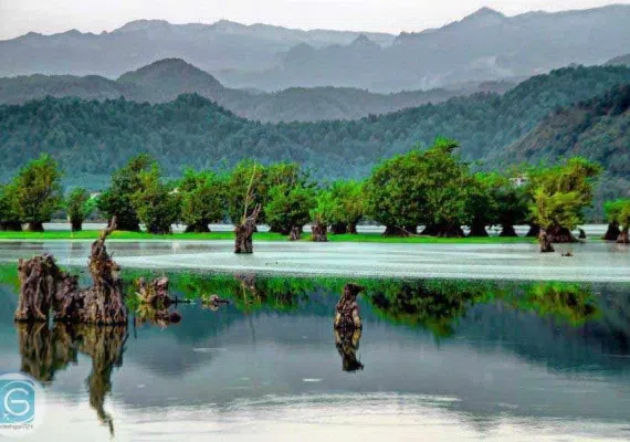 تالاب استیل