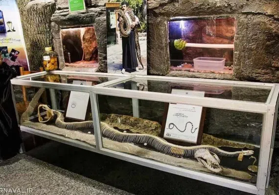 پارک جنگلی ناژوان اصفهان