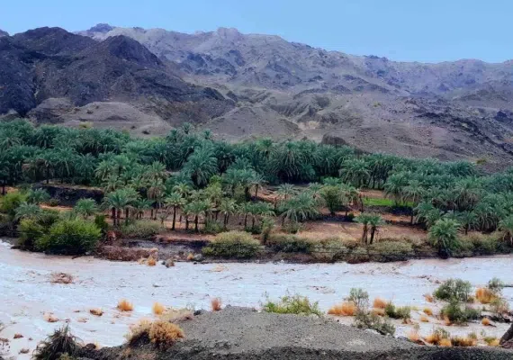 روستای تخت ملک نیک شهر